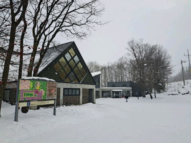 北海道旅遊🥳富良野起司工房😍品嚐出產最馳名的起司牛奶奶油類食品🧀