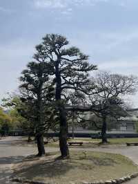 德島城遺跡