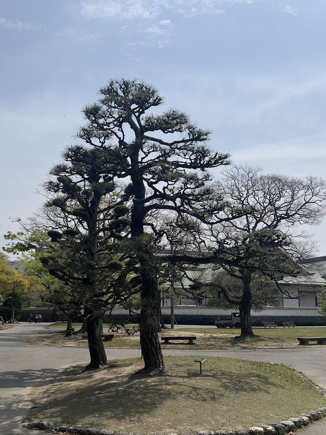 德島城遺跡
