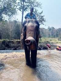 ล่องแพแม่วาง