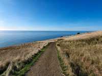 Exploring History and Coastline: Godley Head Park Adventure⛰️