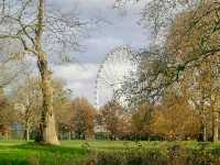 Experience the Best of London in Hyde Park's Scenic Surroundings