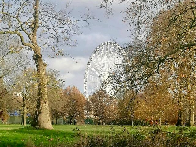 Experience the Best of London in Hyde Park's Scenic Surroundings