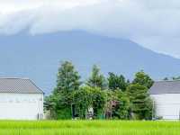 คาเฟ่ท้องนา หน้าฝนนี้มีที่เช็คอินยัง