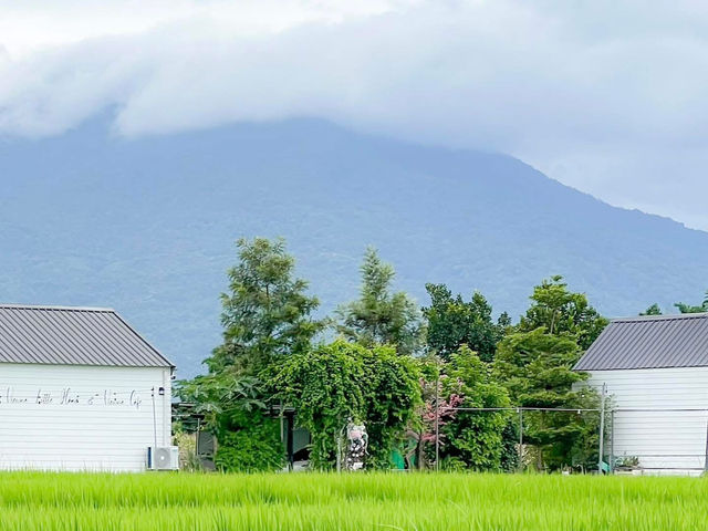 คาเฟ่ท้องนา หน้าฝนนี้มีที่เช็คอินยัง