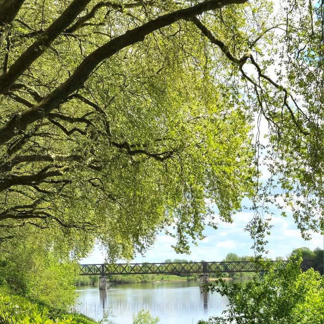 Vilandry Gardens, Indré-Loire