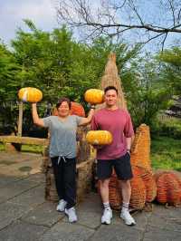 Hidden Gem in Guizhou: 乌江寨 – Just 90 Minutes from Chongqing!