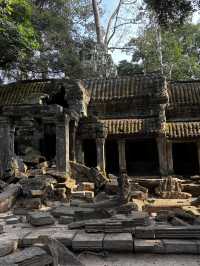 The spectacular Angkor Wat