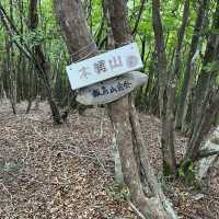 🌲【木梶山】⛰️ まつさかイレブン