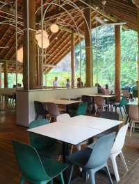 Dining with Natural at Pineyard Café