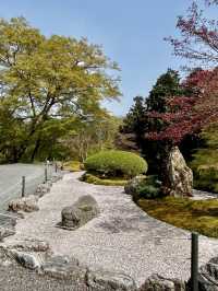 Spring Serenity at Kochidani Amida-ji Temple