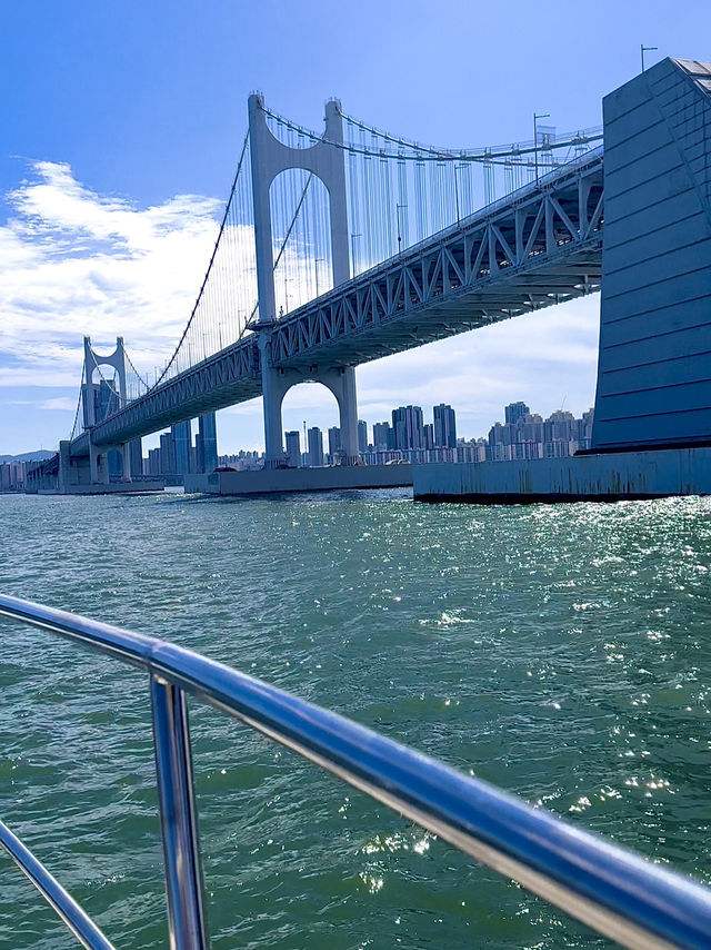 Busan Yacht Experience