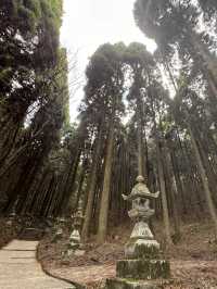 IG爆紅《螢火之森》知名場景之一「上色見熊野座神社」看點 交通 美食攻略