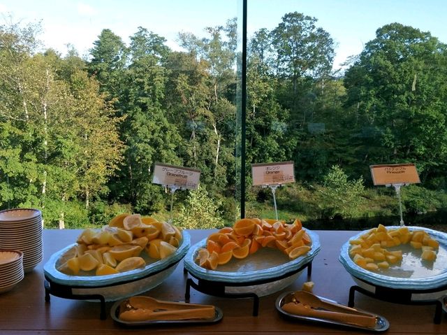 藏在森林裡面的飯店#大沼王子飯店-北海道龜田郡七飯町