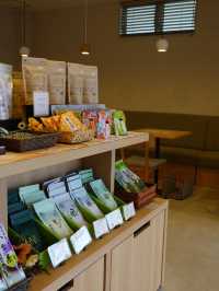 【三重】kikicha cafe 五感で味わう伊勢茶の世界🍵