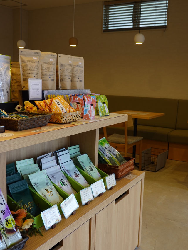 【三重】kikicha cafe 五感で味わう伊勢茶の世界🍵