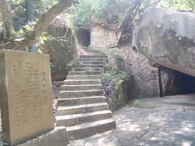 植物種類繁多的廈門園林植物園
