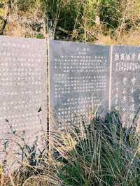 中國四川廣元著名景點：中國知青文化碑林，適合打卡拍照📸