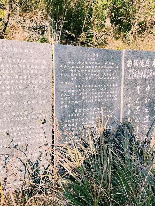 中國四川廣元著名景點：中國知青文化碑林，適合打卡拍照📸