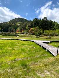 ┃兵庫三田┃永沢寺そば道場の水無月亭で雲水そば