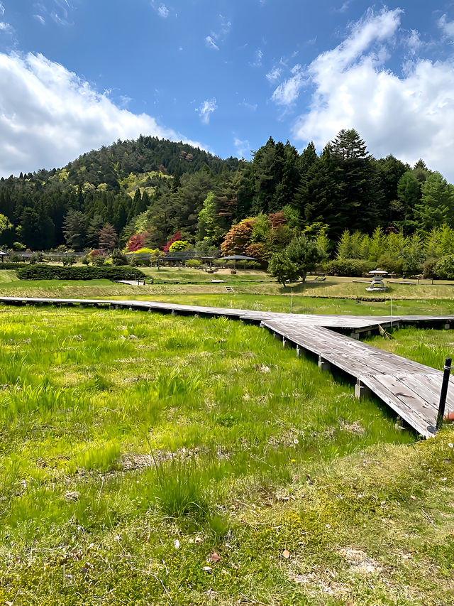 ┃兵庫三田┃永沢寺そば道場の水無月亭で雲水そば