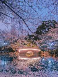 Lu Xun Park: A Tranquil Tribute to Shanghai's Literary Heart