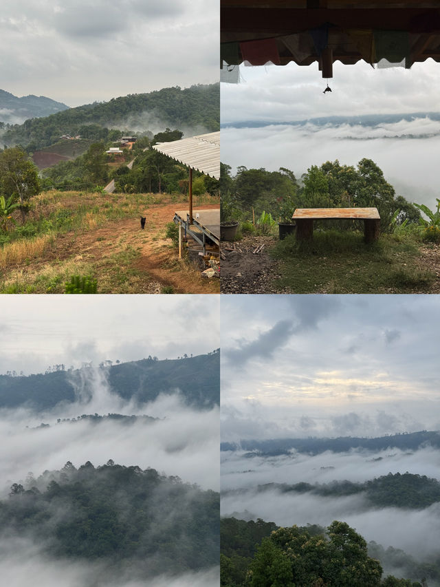 บ้านโฮมเตย์ จ.เชียงใหม่ 🏡⛰️🌧️🌳