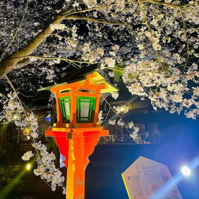 Quiet Vibes and Sakura Stealing the Spotlight