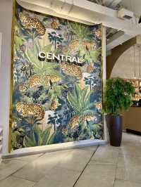 Spring Treats at Cafe Central in Dushanbe