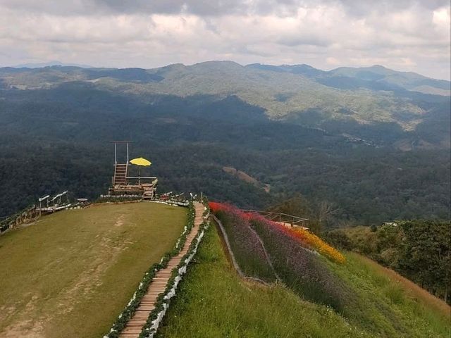 ป่าสนวัดจันทร์