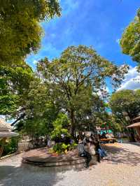 Poomjai Garden (สวนภูมิใจ)🪴