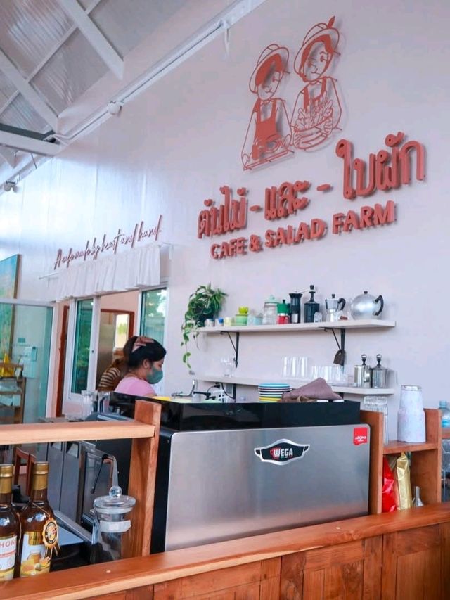 ต้นไม้และใบ