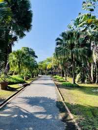 Garden Park MBKS Kuching – A Must-Visit Urban Oasis