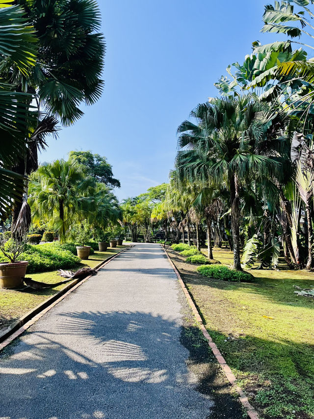 Garden Park MBKS Kuching – A Must-Visit Urban Oasis