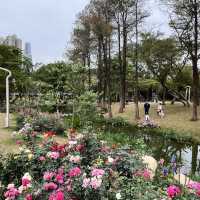 Shenzhen’s Hidden Gem: 人民公园 (People’s Park)