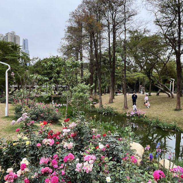 Shenzhen’s Hidden Gem: 人民公园 (People’s Park)
