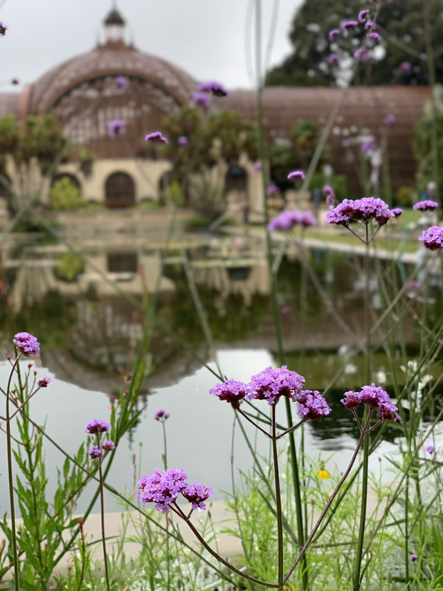 A Day of Wonder at Balboa Park: San Diego’s Cultural Oasis