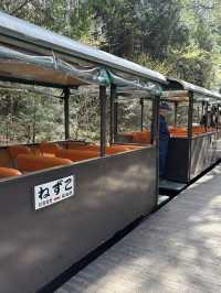 片道、約25分間のトロッコ旅ー❤️