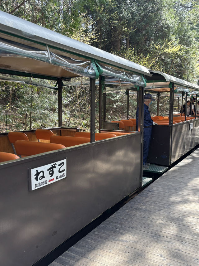 片道、約25分間のトロッコ旅ー❤️