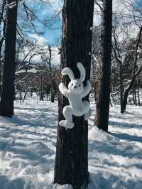 MARUYAMA PARK