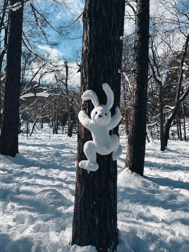 MARUYAMA PARK