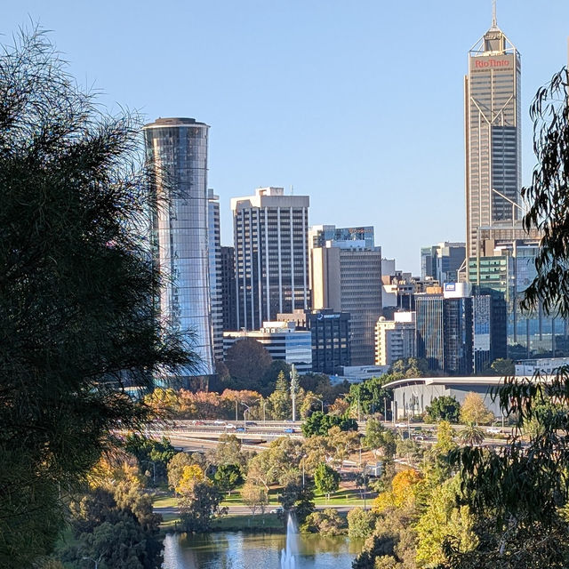 Kings Park and Botanic Garden