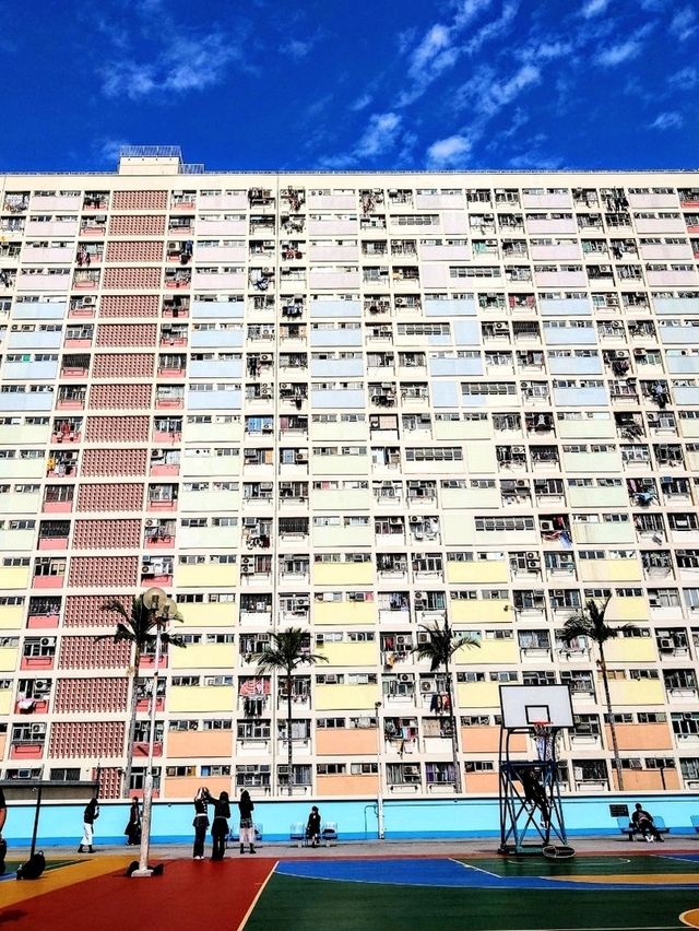 【香港】虹色世界🌈 Choi Hong Estate
