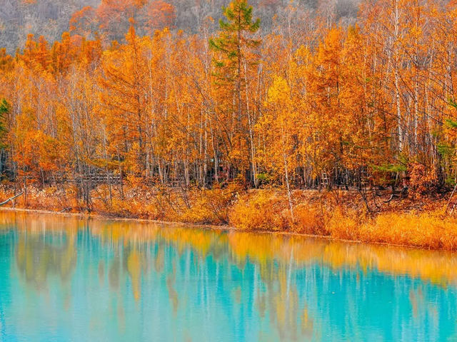 Hokkaido