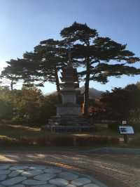설악산 단풍
