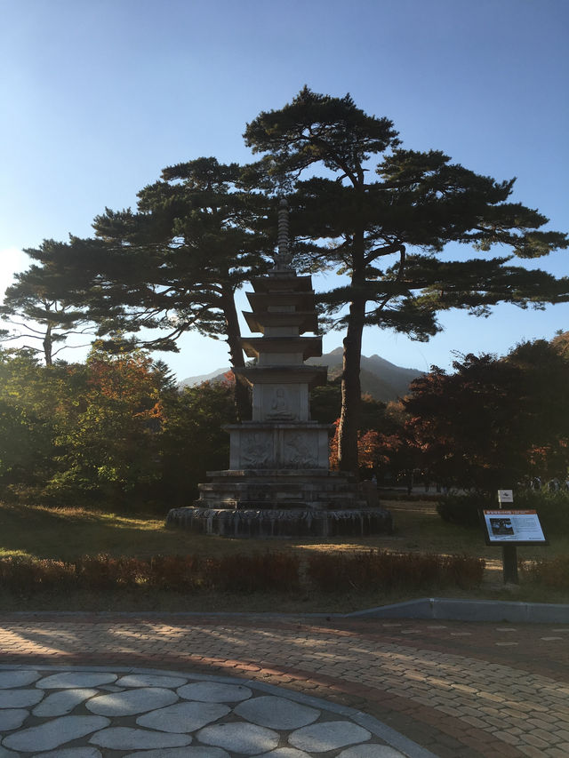 설악산 단풍