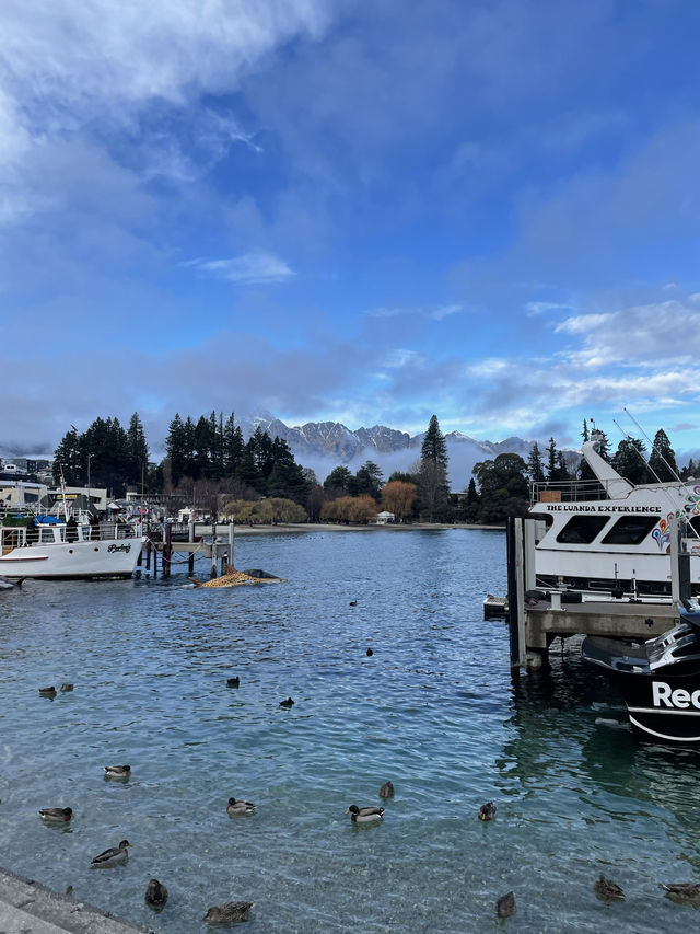 紐西蘭🇳🇿Queenstown 小鎮河邊景色如畫🏔️🦆