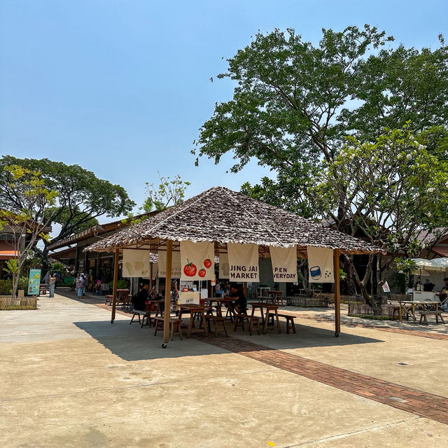 ชิม ช้อป ชิล🛍️ที่ตลาดจริงใจมาร์เก็ตเชียงใหม่