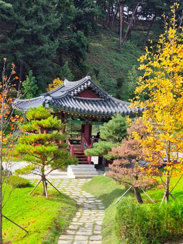 미세먼지차단삼척숲_💚삼척 인의예지림