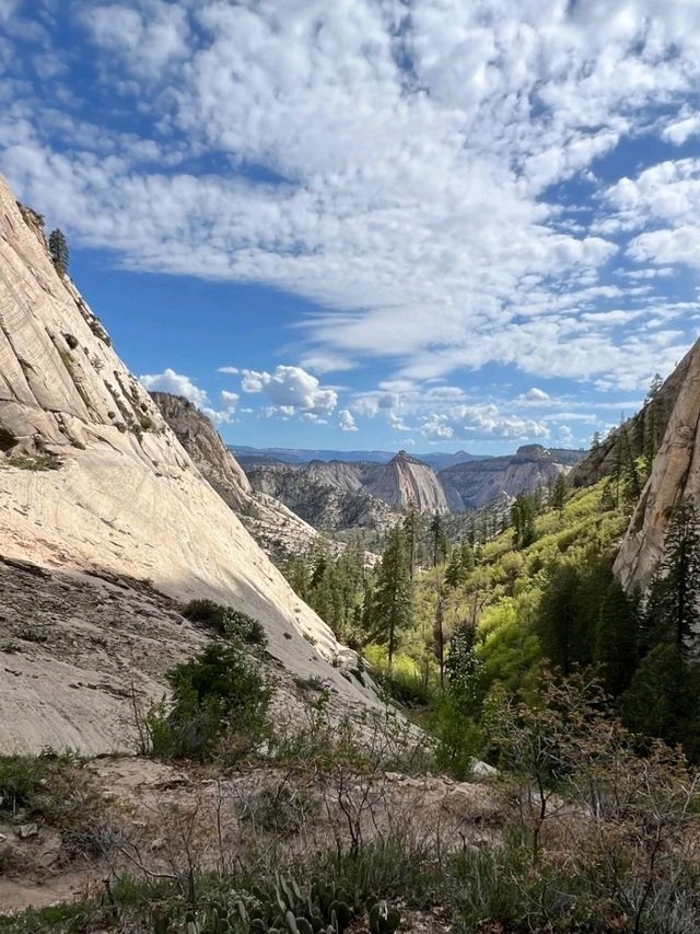ngels Landing – Zion’s Most Thrilling Trail